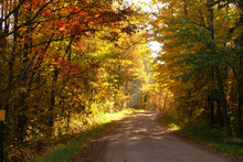 A Gravel Road Surrounded In Autumn Surrounded By Trees With Yellow Leaves, Red Leaves, Green Leaves And Green Grass Near Hinckley Minnesota