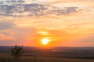 Canvas Print - very beautiful summer sunset with bright colors of the sky