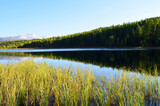 Fototapeta Na ścianę - Altai. Mountain lake Кidely, views of the Kurai ridge