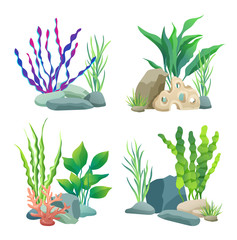 Wall Mural - Seaweed for aquarium sketch vector Illustration