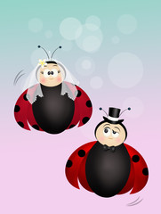 Canvas Print - funny illustration of ladybugs