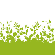 Vector Green Vegetation On A White Background.