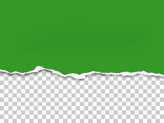Wall Mural - Torn a half sheet of green paper from the bottom. Vector template paper design.