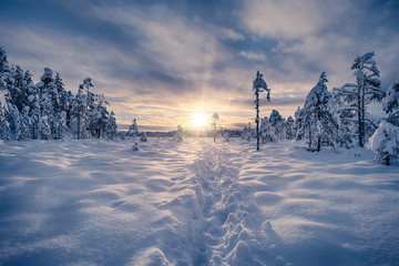 Wall Mural - Trail on a snow leading towards sunset. Winter landscape scene.