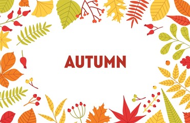 Poster - Autumn horizontal background with frame made of fallen tree leaves and berries on white background