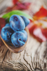 Wall Mural - Bowl of juicy blue plum in a rustic style. Happy Thanksgiving. Copy space