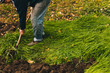 © zvkate - Man digging the garden. Spud the soil. Man digs a hole to plant a tree. Man loosens dirt in the farmland, gardening,  agriculture and tough work concept
