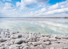 The Stones Are Covered With A Crust Of Salt On The Shores Of The Salar Baskunchak. Extraction Of Salt