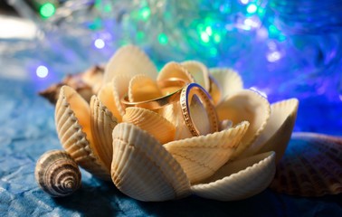 seashells and rings on blue background