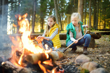 Wall Mural - cute little sisters roasting hotdogs on sticks at bonfire. children having fun at camp fire. camping
