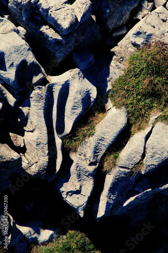 Cuadros en Lienzo Glacial striations in the Pizol bedrock, Swiss Alps