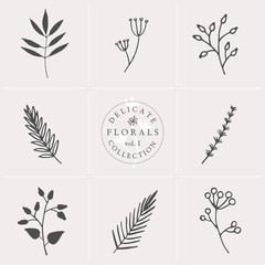 Wall Mural - Delicate Floral Elements Set