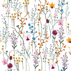 Wall Mural - Summer Vector many kind of wild flowers seamless beautiful on white color background,