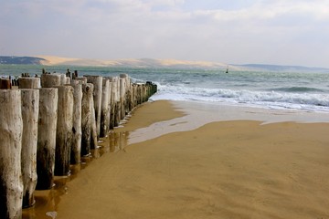 Wall Mural - Cap Ferret