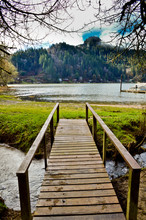 Wooden Walkway To Loon Lake