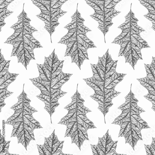 pattern dry in black and white oak leaves