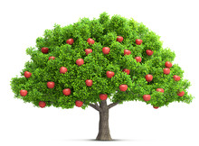 Red Apple Tree Isolated 3D Illustration