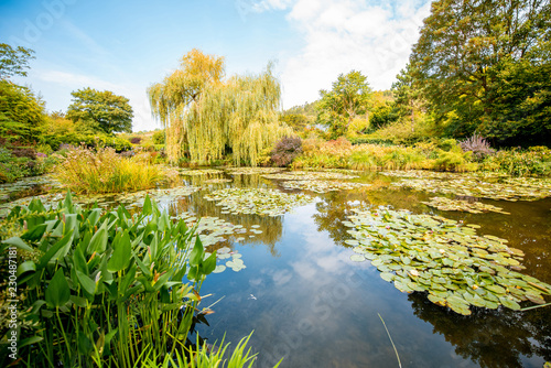 Foto Landscape view on the beautiful Claud Monet's lake with lilies, famous french im