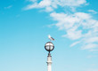 © David Behar - Seagull on Pier Light Post