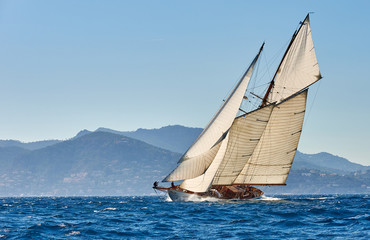 Sailing yacht regatta. Yachting. Sailing