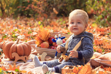 Family Picnic In The Autumn In The Forest. Portrait Of A Small Child, A Fair-haired Boy Among The Yellow Foliage, Holding A Cone In His Hands And Playing Wooden Toys, Next To A Pumpkin And Apples