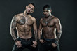 © be free - Men tattooed muscular body. Fashion models muscular chest. Sportsmen muscular belly posing. Sport and bodycare. Muscular and masculine guys look confident. African and hispanic men sexy bare torso