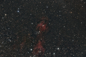 Wall Mural - imaged with a telescope and a scientific ccd camera
