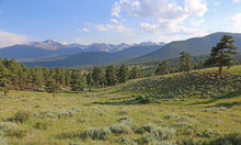 A Meadow In The Valley Just Below Deer Ridge Junction, In Rocky Mountain National Park, Colorado, USA.