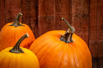 Wall Mural - pumpkins against weathered wood