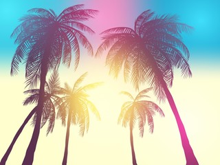 Wall Mural - Row of tropic palm trees against sunset sky. Silhouette of tall palm trees. Tropic evening landscape. Gradient color. Vector illustration. EPS 10