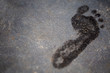footprints of bare feet on a gray stone. wet footprints