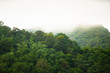 © Korradol - Tropical rainforest with fog in Mae Sot, Tak province, Thailand.