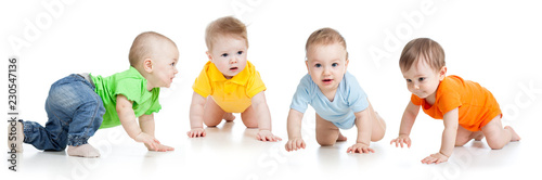 Fotomural Group of cute babies crawling on floor. Isolated on white.