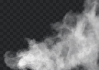 Transparent special effect stands out with fog or smoke. White cloud vector, fog or smog.