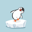 funny penguin on ice floe