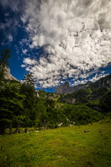 Wall Mural - Scenic view to Dachstein from Hinterer Gosausee with dramatic blue sky and green forest near Salzburg, Austria