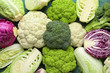 Different kinds of cabbage on color table