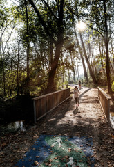 Wall Mural - promenade en trotinette avec maman