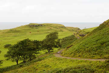 Wall Mural - Scotland scenic landscape