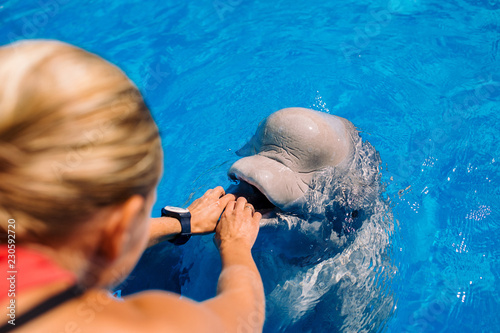 Fotografie, Tablou Woman playing with Beluga, white Whale