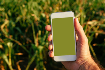 Smart phone agriculture app mock up screen