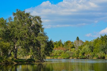 Wall Mural - Beautiful view at Lake Seminole, Seminole, Florida