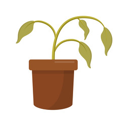 Wall Mural - Tote Pflanze vertrocknet Flat Design Icon isoliert auf weißem Hintergrund