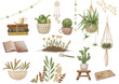 Succulents, cactus, plants lifstyle raster clip art. Clipping path included for quick isolation. 