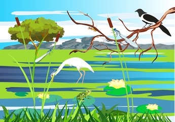 Wall Mural - white heron, magpie on the tree brunch lake, gragonflies, wetland landscape, vector wildlife