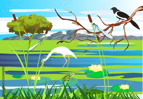 Cuadros en Lienzo White heron, magpie on the tree brunch lake, gragonflies, wetland landscape, v