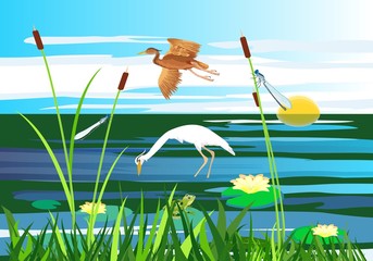 Wall Mural - White and red  heron flying above the lake, gragonflies, wetland landscape, vector wildlife
