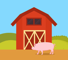Pig In Nature Of Farm Ranch Vector Illustration