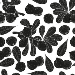 Wall Mural - Macadamia. Plant. Fruit, leaves, branch. Background, texture, wallpaper, seamless. Black silhouette on white background.