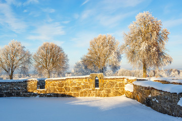 Wall Mural - Old monastery ruin with snow and frost on the trees